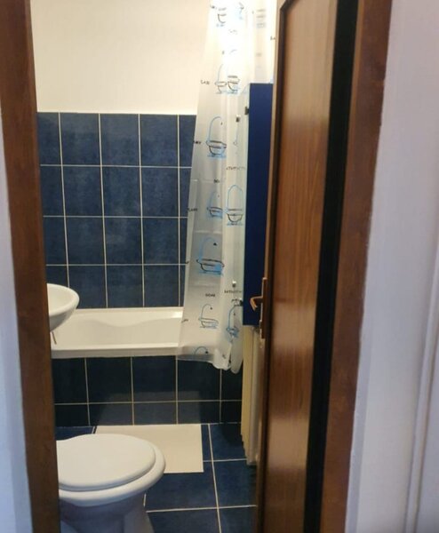 1 Decembrie, Piata Minis